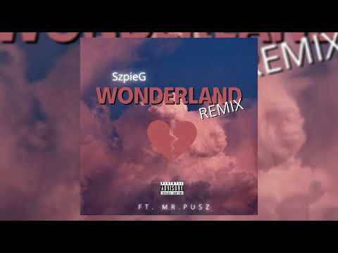 Video thumbnail for Wonderland (remix #2) [BONUS TRACK]
