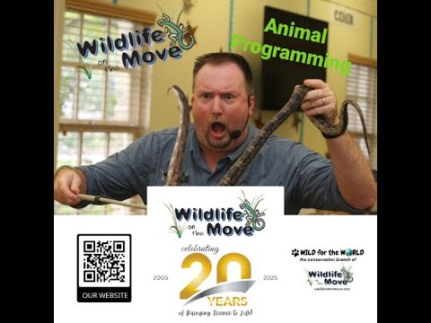 Promotional video thumbnail 1 for Wildlife On The Move