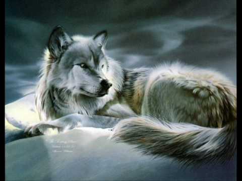 Hawk pres. Air Breeze - Butterfly (Ljungqvist remix)