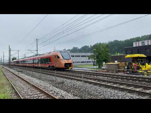 kupferfarbener Traverso in Doppeltraktion an einem grauen Junitag