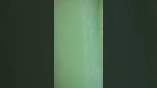 Avinash Kashyap. 6393249561