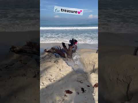 😍🌊🪵 #shortvideo #palawan #beach #philippines #beautiful #fun #kevin @kevinjacqueline