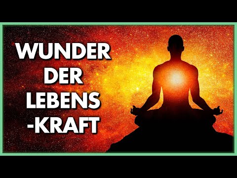 Wunder der Lebenskraft: Eine Erlebnisreise zur Kraft, die in uns wirkt - der Film