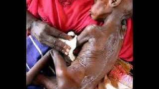 twin star veruca salt