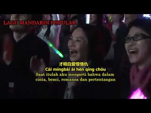 Wang Qing Shui - Andy Lau (忘情水 - 劉德華) ( LIRIK DAN TERJEMAHAN )