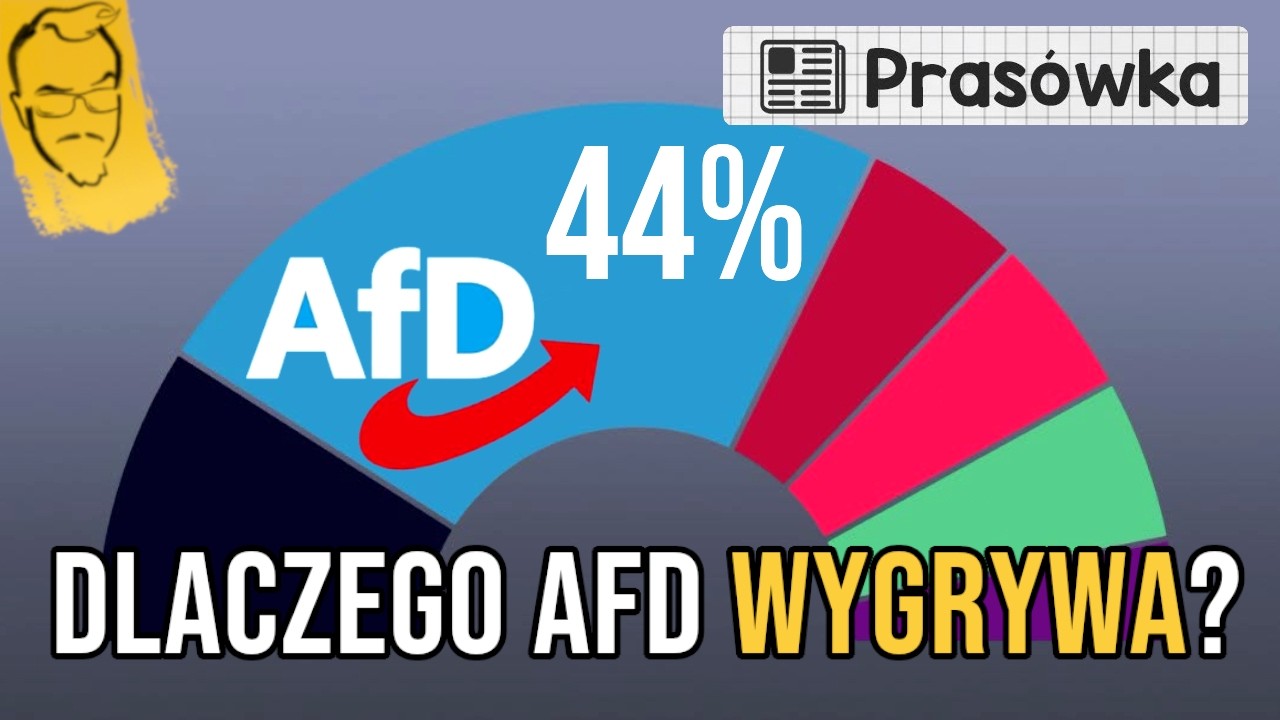 Kto głosuje na AfD? (i podobne partie) | Przegląd Idei #232 (14.09.2026)