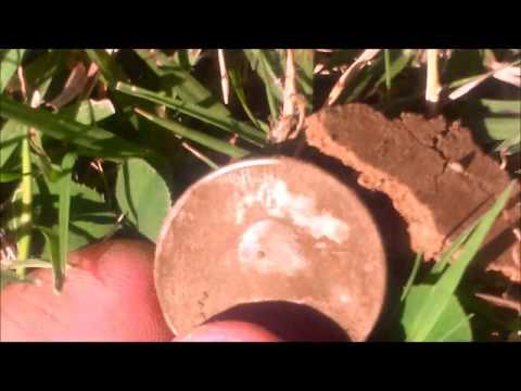 Metal detecting GOLD AND SILVER #6