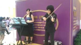 carbon fiber violin Made in Taiwan