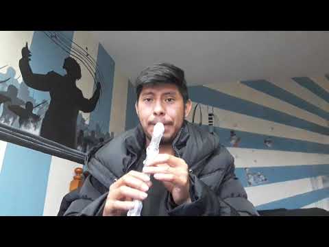 Another Brick In The Wall Pink Floyd en Flauta Dulce