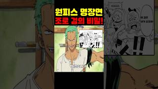 원피스 최신화인데? 코스트코 최초 공개 조로 검이 미쳤습니다! #원피스 #원피스명장면
