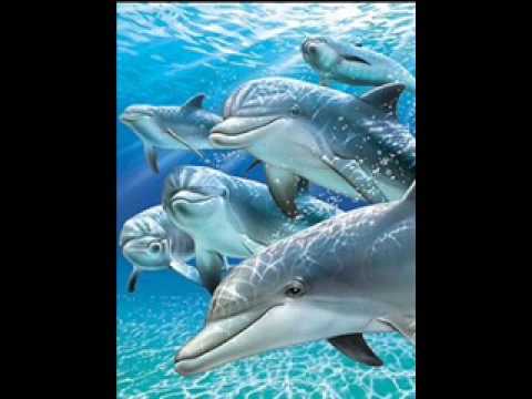 Ogneni momcinja - Stani mome da zaigras