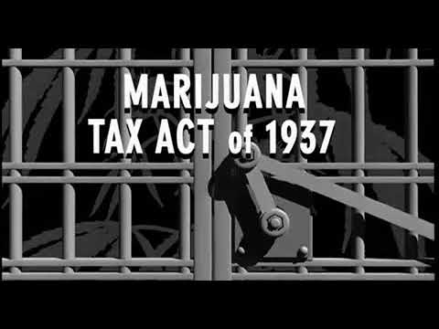 Cannabis History   The La Guardia Committee   Marijuana Study   1944