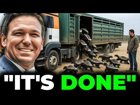 Everybody Laughed At Florida For Releasing HUNDREDS of Honey Badgers, The Result Might SHOCK Them