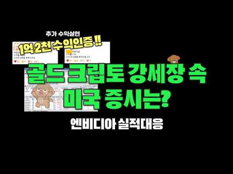 골드 비트 이더 강세장 속 엔비디아 실적에 달린 미국주식 전망 영상 썸네일