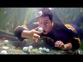 All The Best Scenes From Happy Gilmore Adam Sandler Is A Genius 4K