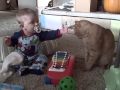 Video 1