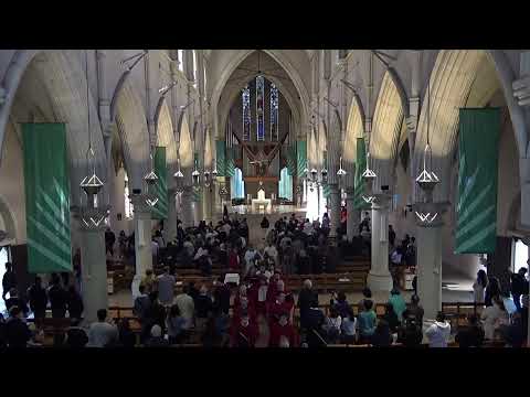 (2019-07-21) 21 July 2019. Mass for the 16th Sunday in Ordinary Time