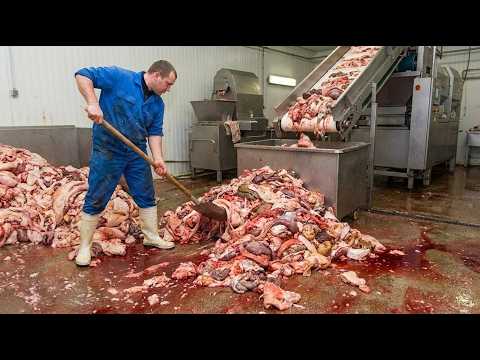 20 CIBI che Non Comprerai Mai più Dopo aver Scoperto Come Vengono Fatti