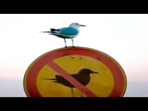 try not laugh impossible