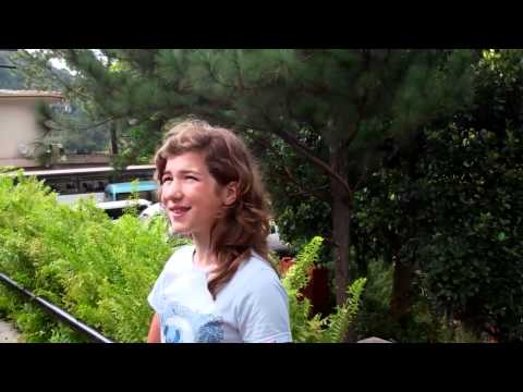 Monkeys at  Kandy, Sri Lanka - Thilanka Hotel