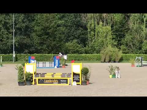 Quanta Costa JVH - 4yo Cyclys