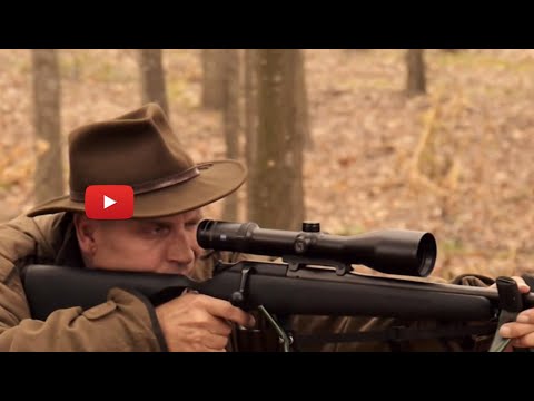 Damhirschjagd in Ungarn mit Vepar Jagdreisen