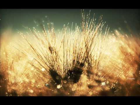 16 Bit Lolitas & Ohmna - Take It Or Leave It