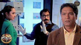 Download lagu பொரென்சிக் ஆய்வகத்தில் பூர்வி மற்றும் சாலுங்கே இடையில் உண்மையில் என்ன நடக்கிறது? | Best Of CID Tamil mp3