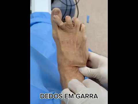Pedro Felipe Araújo De Paula Santos-8