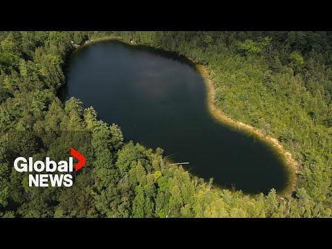 Anthropocene: Lake in Canada marks human-altering epoch of Earth's history