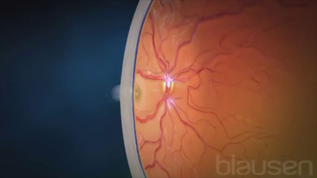 Sarai Delgado Pelayo-5