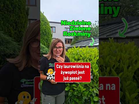 Is Laurel Cherry for the Hedge already available? I invite you to watch.