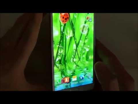 Macro Photos Live Wallpaper Video