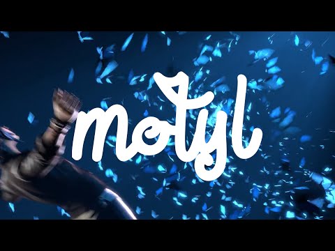 Leribern - MOTYL (bvrtek, Johan, Wrzecion, gradziu) Prod. by STIG