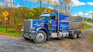 Parked in a hedgerow for 25 YEARS - Will it drive again?? Peterbilt 359