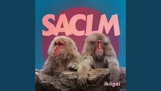 SACLM Music Video
