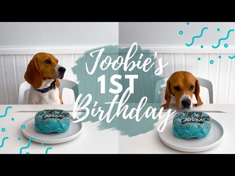 OUR PUPPY'S FIRST BIRTHDAY PARTY | VLOG