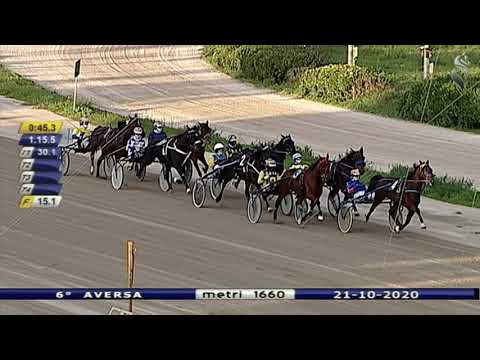 Aversa trotto 21 Ottobre 2020 - 6° Corsa