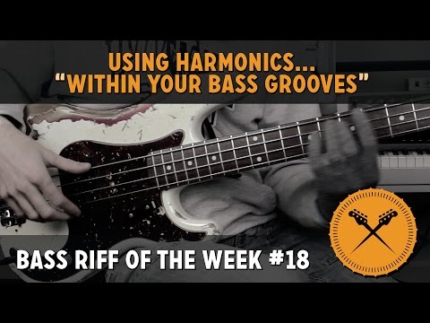 Using Harmonics Within Your Bass Grooves - Bass Riff of the Week #18