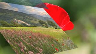 &#39;Maio maduro Maio&#39; - Zeca Afonso ღ♪