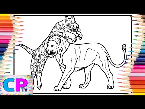 Tiger vs Lion Coloring Pages/Wild Animals/Diviners - Savannah (feat. Philly K) [NCS Release]