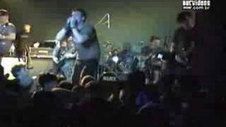 born from pain black gold ix liberation fest 04-05-2006 2cam