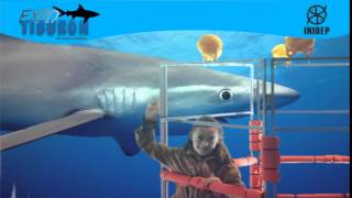 DIA 3 Expo Tiburon163