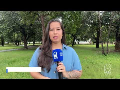 POLÍCIA ENCONTRA 500KG DE COCAÍNA ENTERRADOS NA MATA EM DUERÉ PRÓXIMO