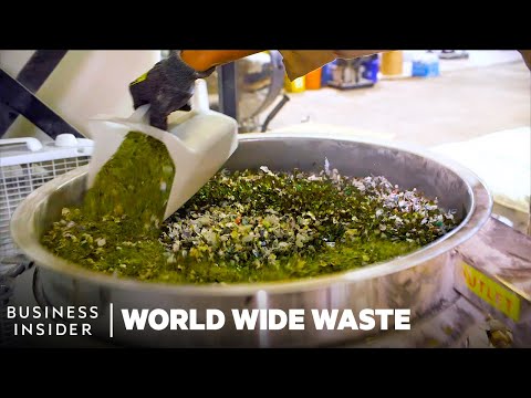 Meet 8 Young Founders Turning Trash Into Cash | World Wide Waste | Insider Business