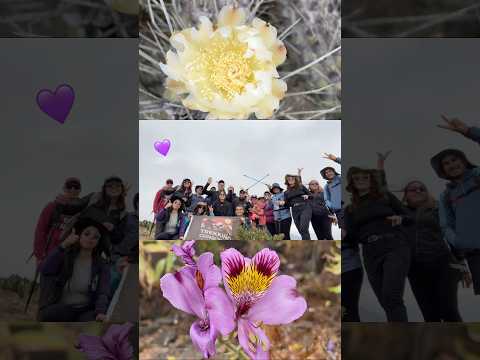 Exploración: Cerro Tayur