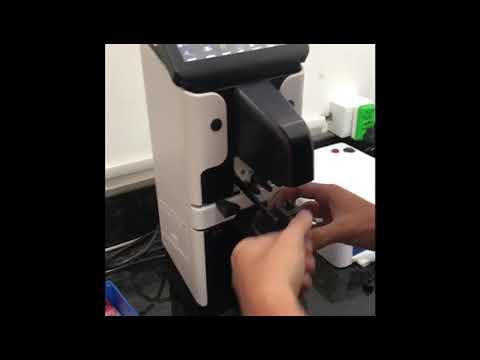 Montagem automática de óculos