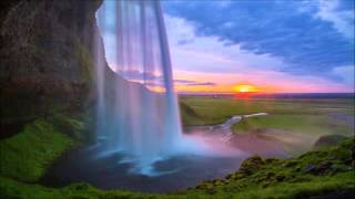 Roger St  Denis - Vitality