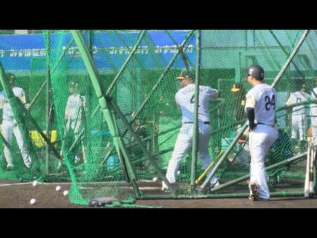 【ホークス春季キャンプ】新加入のホークス・バレンティン 快音を響かせる!! 2020/2/1