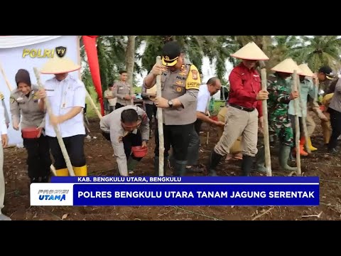 POLRES BENGKULU UTARA GELAR PENANAMAN JAGUNG SERENTAK